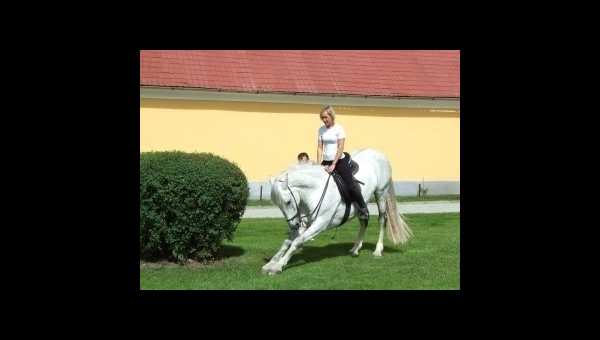 Okolí penzionu - jízda na koních, rybaření, sport