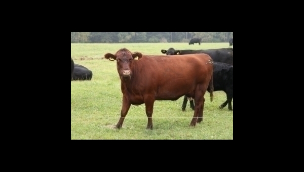 Ubytování na farmě Mlýnský Dvůr