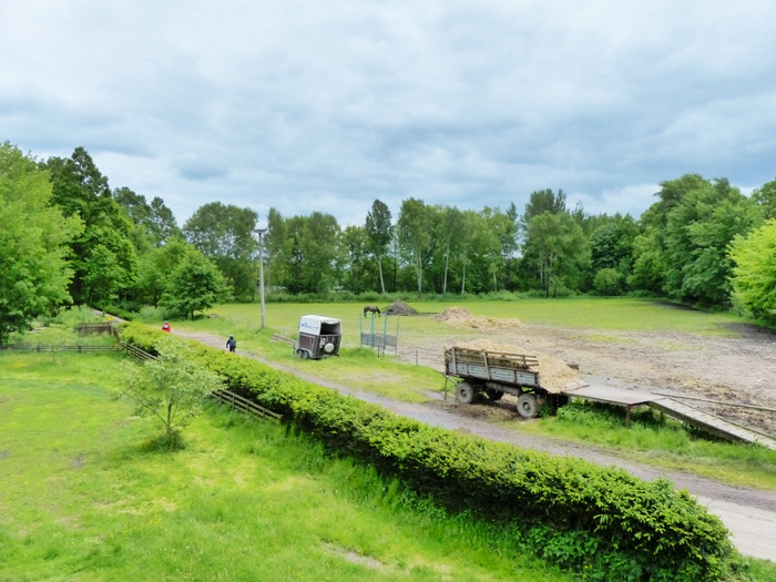 Dovolená na farmě Jižní Čechy  - Třeboňsko