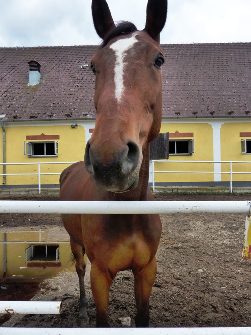 Ubytování Třeboň a okolí