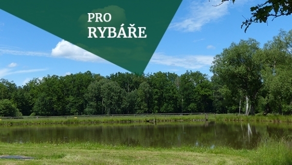 PRO RYBÁŘE: dovolená s celou rodinou, možnost rybaření přímo u penzionu!