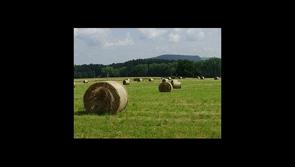 Jindřichův Hradec (27 km od penzionu)