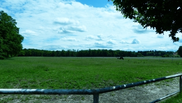 Farma roku 2008 - 5.místo